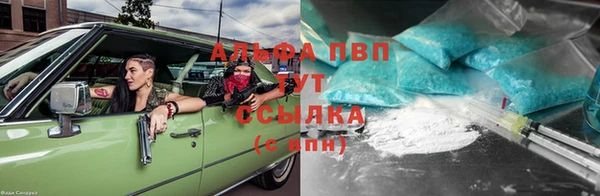 сатива Кодинск