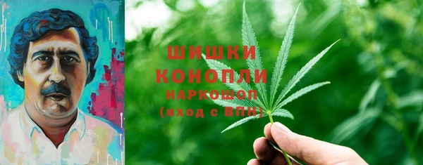 сатива Кодинск