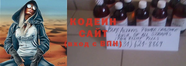 сатива Кодинск