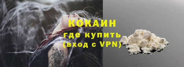 сатива Кодинск