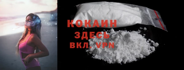 сатива Кодинск