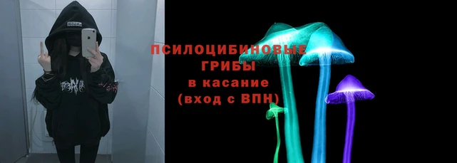 мет Козельск