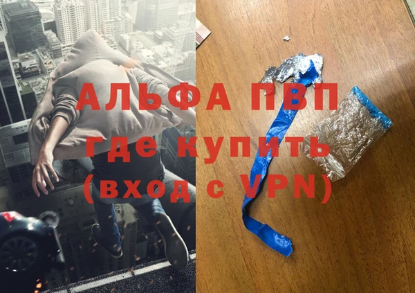 сатива Кодинск